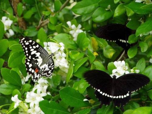 My Chateau Resort My Chateau Resort