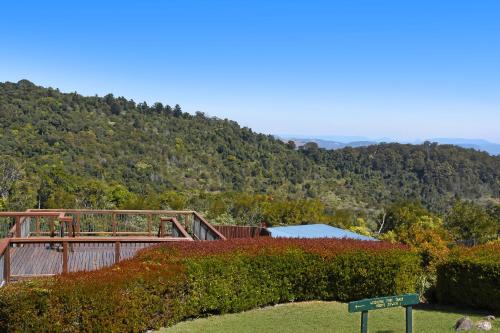 O Reilly S Rainforest Retreat In Australia O Reilly S Rainforest Retreat In Australia