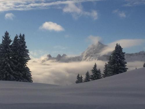 Le Caprice Des Neiges