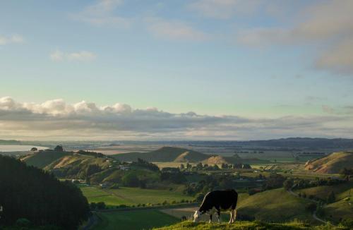 The Grange Lodge - Accommodation - Napier