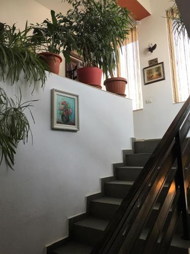 Hotel Taco - image 13