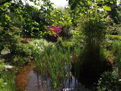 Ballycommane House & Garden