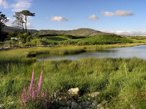 Ballycommane House & Garden