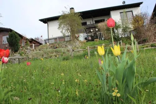 Haus Koblizek in Waldkirchen, Deutschland