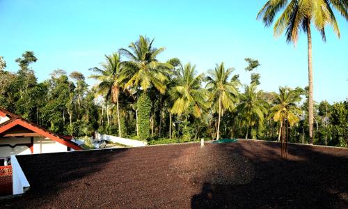 Coffee Native - A Family Homestay