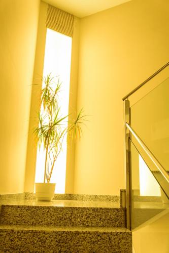 Hotel Estació - image 5