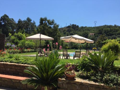 Dārzs, Agriturismo Ada Musso ss in Diano Arentino