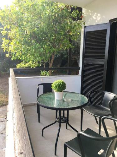 Artemis Holidays Hotel de charme Xiropótamo