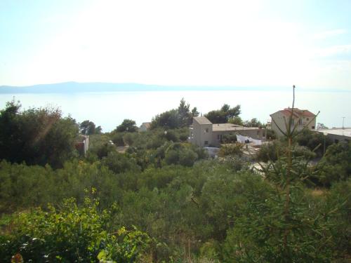  Podgora