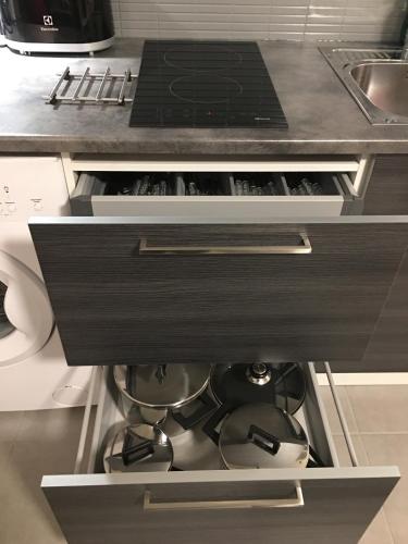 Arctic Resort Delight - image 12