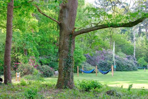 Landgoedhotel Woodbrooke Barchem - image 10