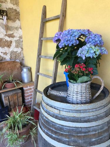 Agriturismo Is Conchisceddas