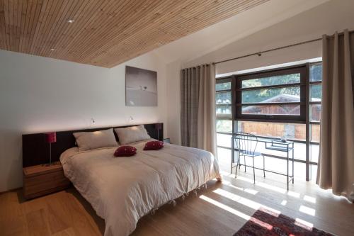 Mineral Lodge&Spa - Accommodation - Villaroger
