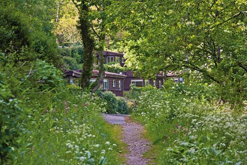 Churchwood Valley - image 6