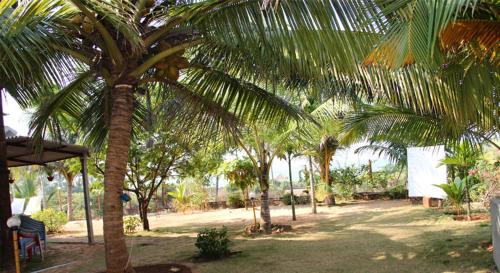 mermaid beach resorts vengurla
