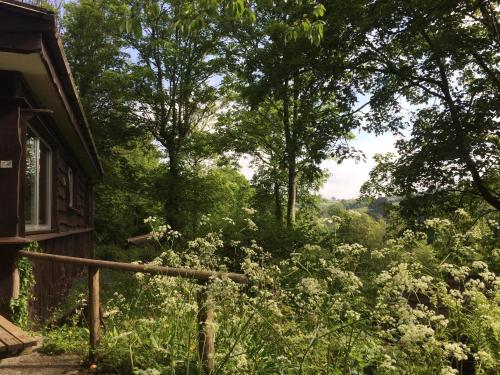 Churchwood Valley - image 8