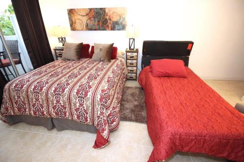 Prince Edward Street Apartment - image 4