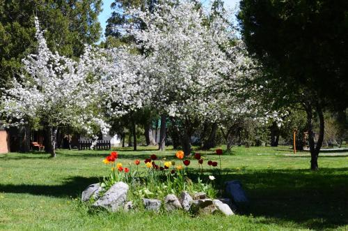 CABANAS ´PORTAL NORTE