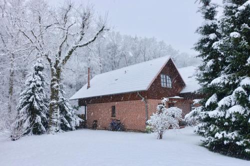 Haus am Wald Klingberg - image 5