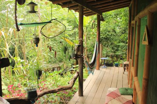 Mariri Jungle Lodge