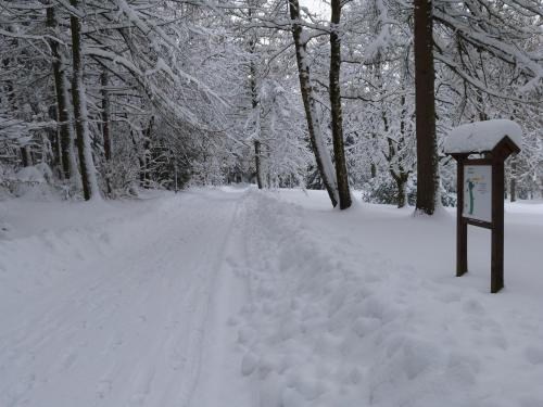 Pension - Der Berghof