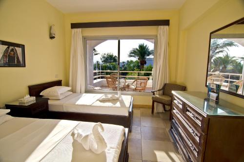 Oonas Dive Club in Sharm El Sheikh