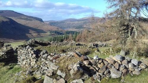 Lus Mor - main image