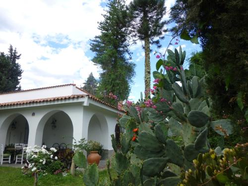 Skats, Loft en Casona Colonial in San Fernando Del Valle De Catamarca