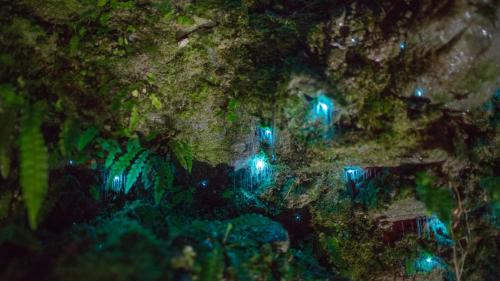 Jackson's Retreat Alpine Holiday Park - Accommodation - Jacksons