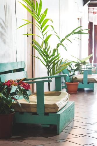 

The Lion Fish Hostel