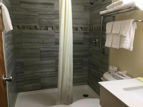 Super 8 by Wyndham Clearwater/St. Petersburg Airport - image 7