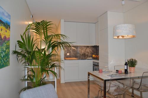 Oporto Like Home II, Porto