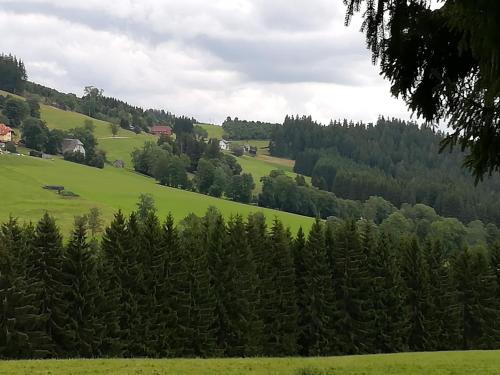Schwarzwaldgasthaus Salenhof - main image