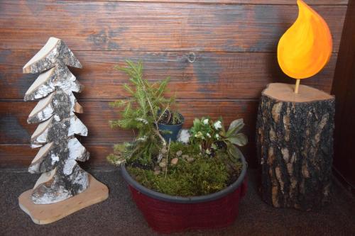 Alpengasthof Eichtbauer - image 13