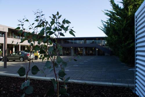 Ieeja, The Olive Tree Motel in Džipslendas reģions