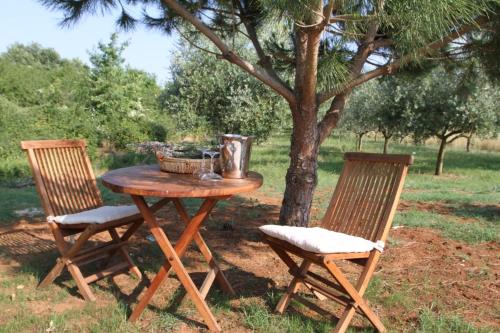Premantura Olive Garden