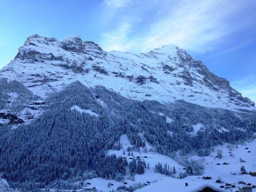 Apartment Matterhorn - GriwaRent AG - image 14