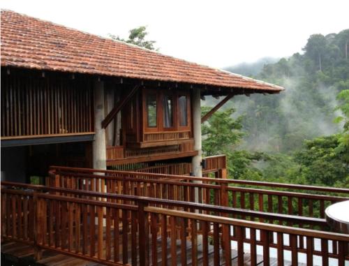 The Shorea photo