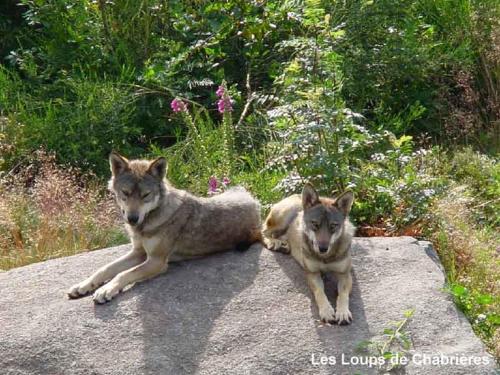 Attractions, Appartement d'Hotes in Gueret