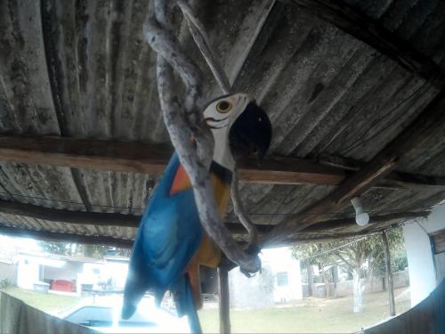 Pouso e Camping do Miguel