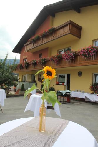 Café-Pension Margret in Zirl, Österreich