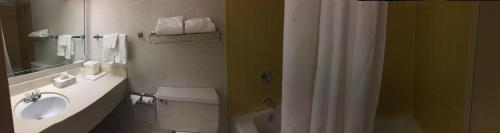 Mystic River Hotel & Suites - image 5