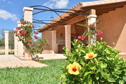 Finca Sonduri - image 12