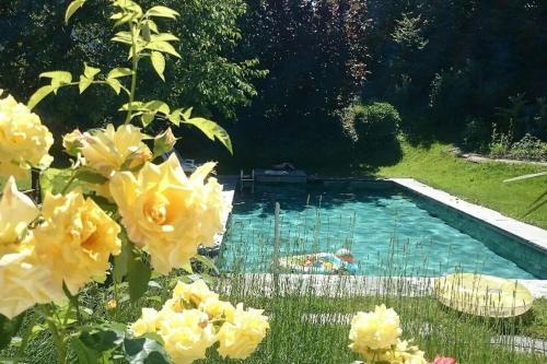 Nice Apartment in Horgen near lake and Pool