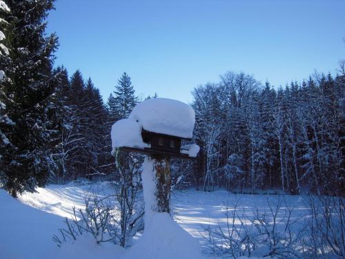 Pension Nocksteinblick