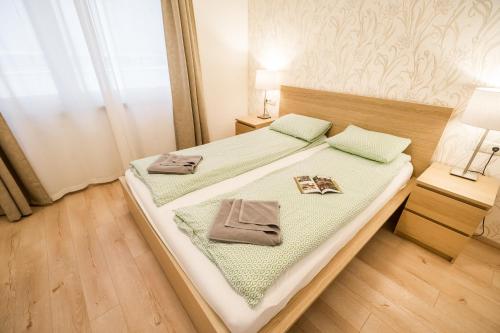 The Lion's Loft Apartment - 4BR & 3BA - Terrace - AC, Budapešť (fotografie 5)