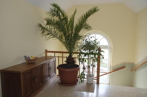 Gästewohnung Elström, Drážďany (fotografie 3)