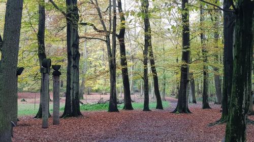 Wald-Hotel - image 8