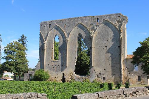 La Vigneraie de Laura: Gîte Entre Vignes et Chênes