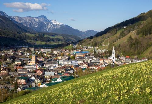 Panorama Lodge Premium Apartments in Schladming, Österreich